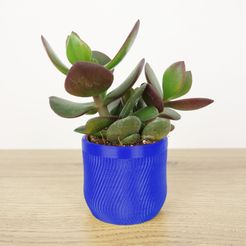 QB-Maker_pot-cactus-zigzig bleu.jpg Zig Zag Pot